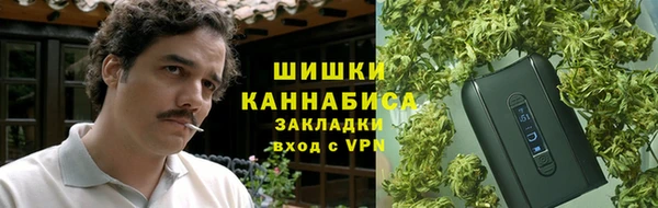 PSILOCYBIN Богданович